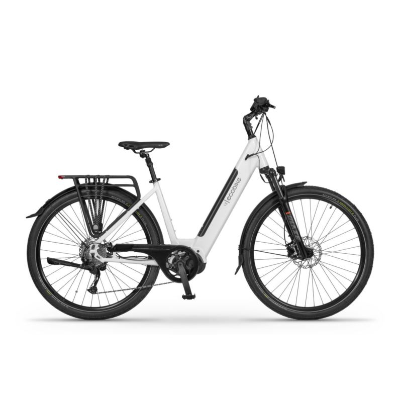 ECOBIKE LX 300