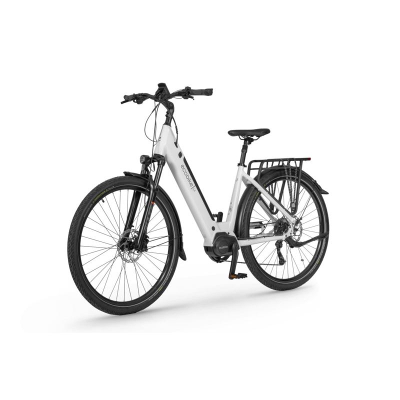 ECOBIKE LX 300
