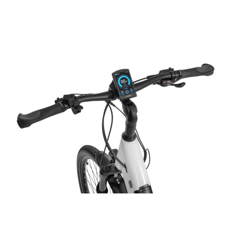 ECOBIKE LX 300
