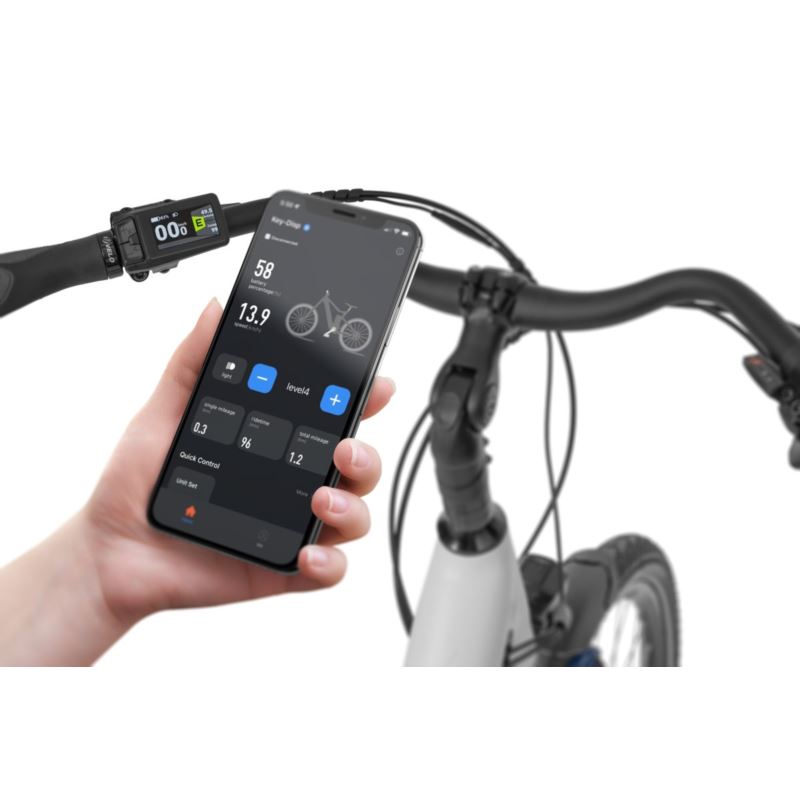 ECOBIKE LX 100 BLACK 504WH