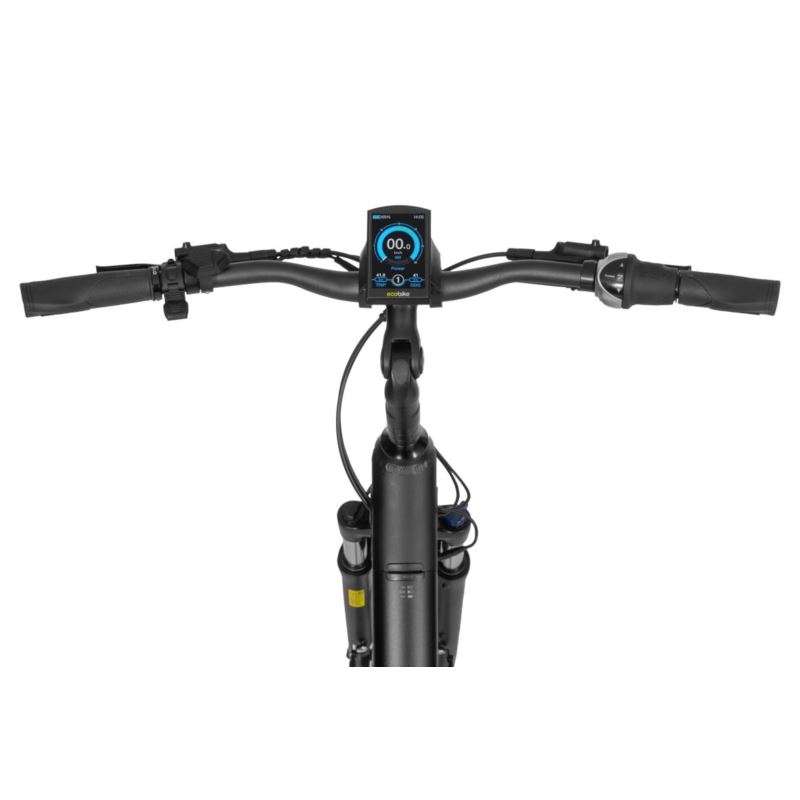 ECOBIKE LX BLACK