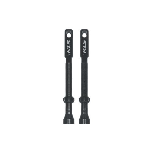WENTYL TUBELESS KLS VASLVES SET FV 60MM