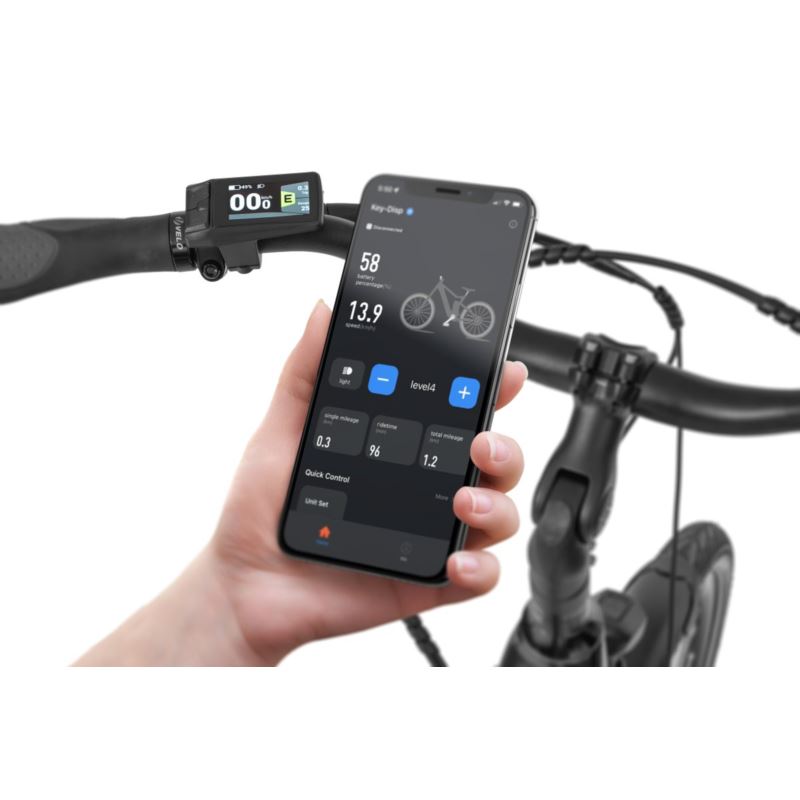 ECOBIKE LX 100 BLACK