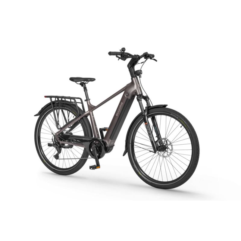 ECOBIKE MX 300 GOLDEN GREY 21 900WH
