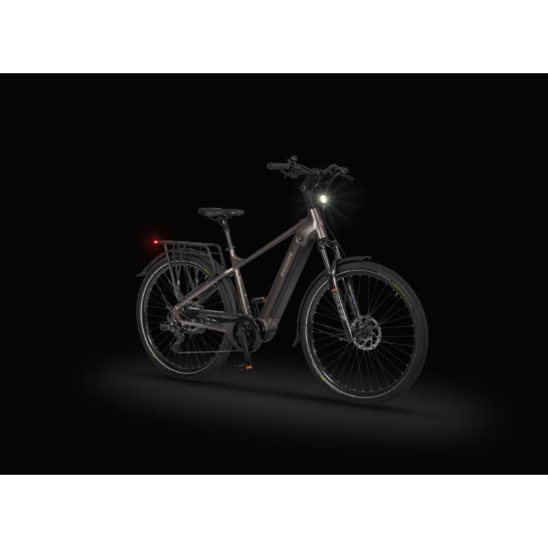 ECOBIKE MX 300 GOLDEN GREY 21 900WH