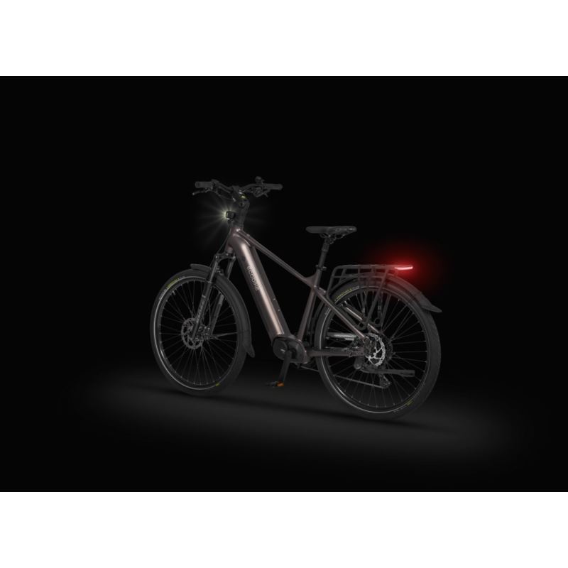 ECOBIKE MX 300 GOLDEN GREY 21 900WH