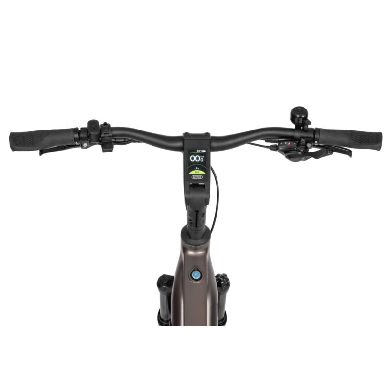 ECOBIKE MX 300 GOLDEN GREY 21 900WH