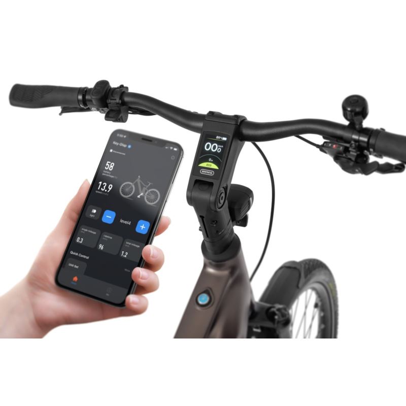 ECOBIKE MX 300 GOLDEN GREY 21 900WH