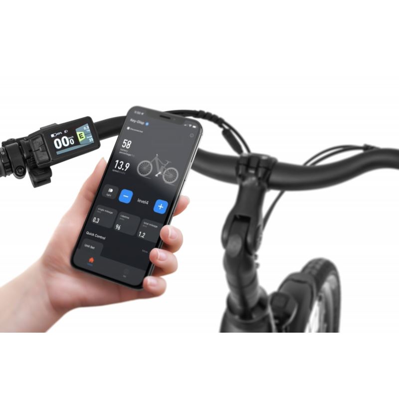 ECOBIKE X-CITY BLACK 504WH