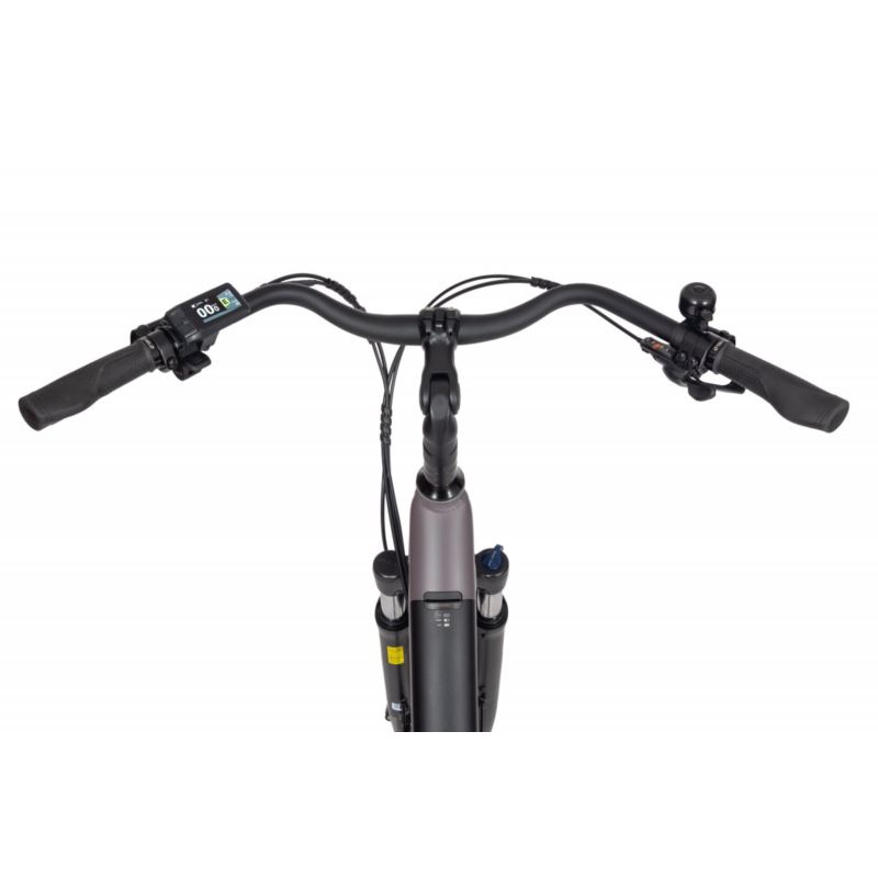 ECOBIKE X-CITY COFFE 630WH