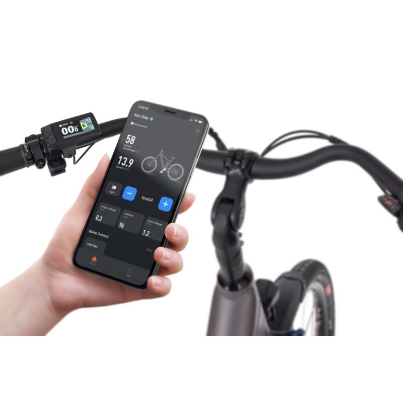 ECOBIKE X-CITY COFFE 630WH