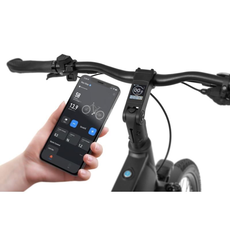 ECOBIKE LX 500 GRAPHITE