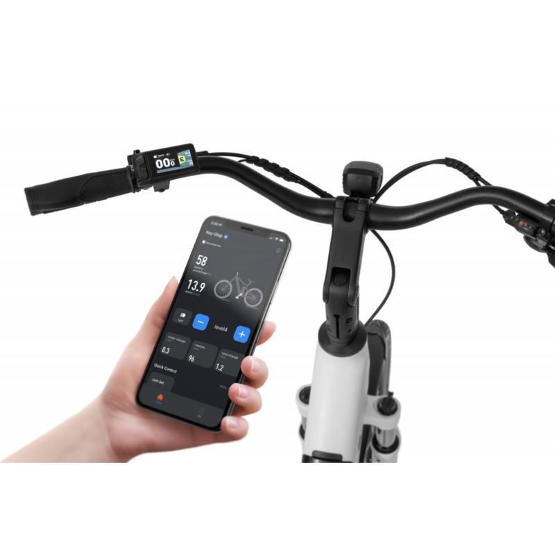 ECOBIKE LX 100 WHITE 630WH
