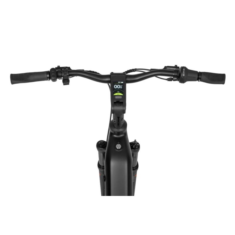 ECOBIKE LX 400 BLACK 900WH