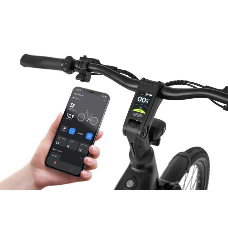 ECOBIKE LX 400 BLACK 900WH