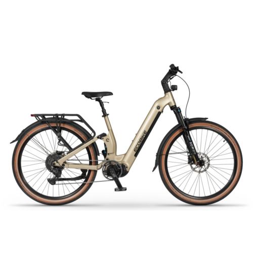 ECOBIKE FLEX TITANIUM 900WH